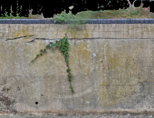 Laser Scan Point Cloud vs Photogrammetry: What’s the Difference?